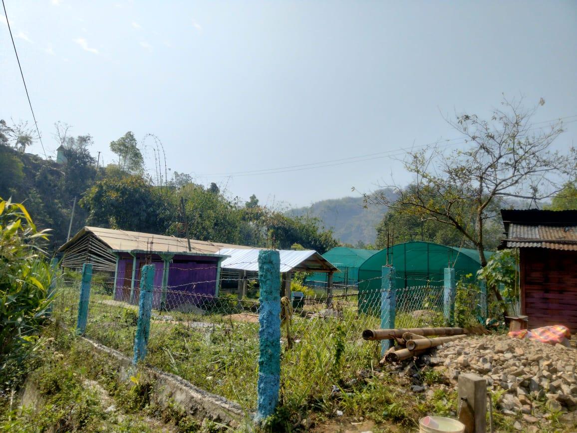 C:\Users\Lavinia Pde\Downloads\WhatsApp Image 2023-03-30 at 20.40.33.jpeg